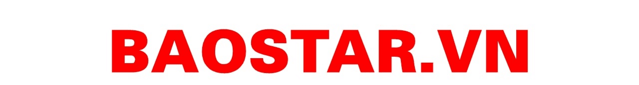 BaoStar logo